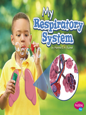 cover image of My Respiratory System